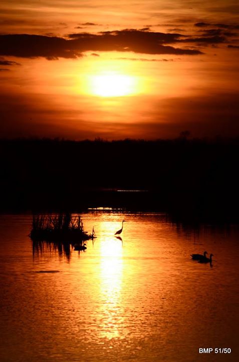 PureMichigan's tweet image. We love this incredible #PureMichigan sunset over the Maple River shared by Facebook fan Mary VanEtten Pratt.