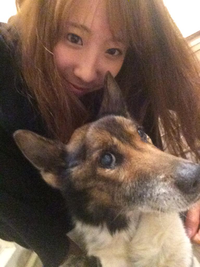 nyakayan3's tweet photo. 2015.05.18
くまたん今までありがとう。
いっぱい寂しい思いもさせたと思う。

でも帰ってきたら毎日笑顔で

ちいちゃん、おかえり☺！！✨

って出迎えてくれてほんとに
ありがとう。だいすきやで。 http://t.co/XYrjdDGD3o