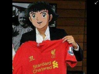 Ray Shelter Project tweet media