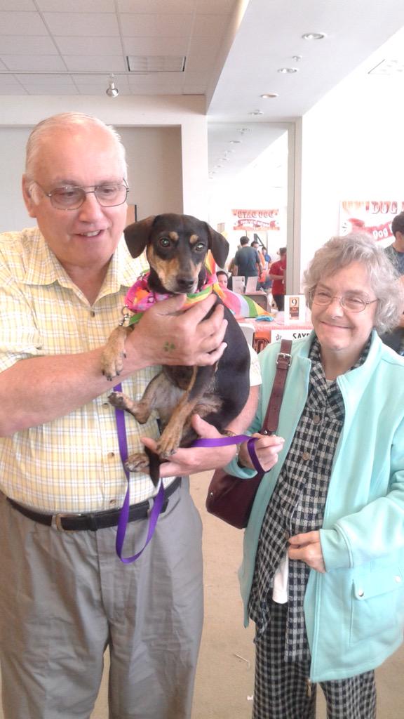 AllSatoRescue's tweet image. Tinkerbell got adopted at the @DogDaysAdoption Event in CT this weekend. In all, 6 Satos found their forever family!