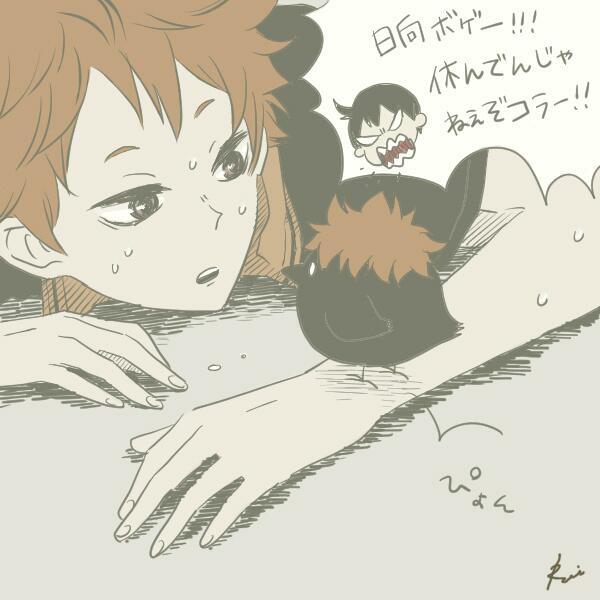 ハイキュー 厳選イラスト集 ハイキュー 日向 居眠り翔ちゃん可愛いよ W ハイキュークラスタさんと繋がりたい ハイキュークラスタさんがバッてrtしてきてグワッて繋がる不思議なタグ ハイキュー好きな人rt Http T Co F7urel5bmz Twitter