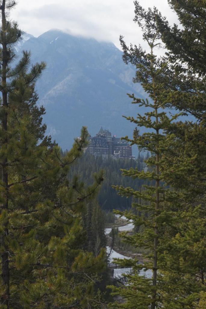 Fun day exploring the trails of Banff <a href="/Banff_Squirrel/">Banff Squirrel</a>