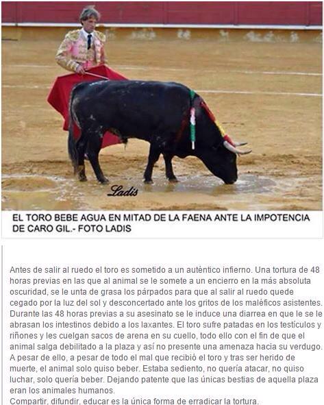 Natacha Jaitt tweet media