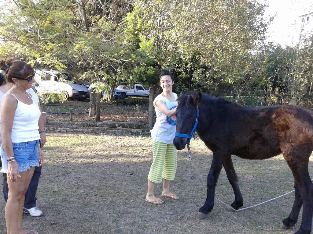 SosEquino's tweet photo. Gracias @anitateatro por visitar a nuestros rescatados !!! http://t.co/0OR2gsP14F