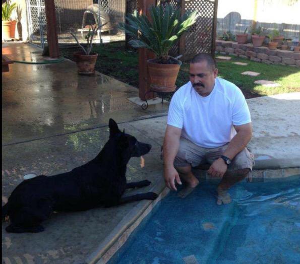 ABC7JulieSone's tweet photo. #K9Robin: Fantastic news! @MontereyParkPD #K9Robin went home after attacked by bees 5/9 while searching for burglar http://t.co/j6XuyI8qMe