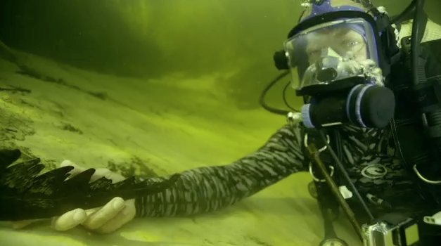 AnimalPlanet's tweet photo. Jeremy Wade, touching a croc's tail. NBD! #ReelMonster http://t.co/BEgy5eCbLI