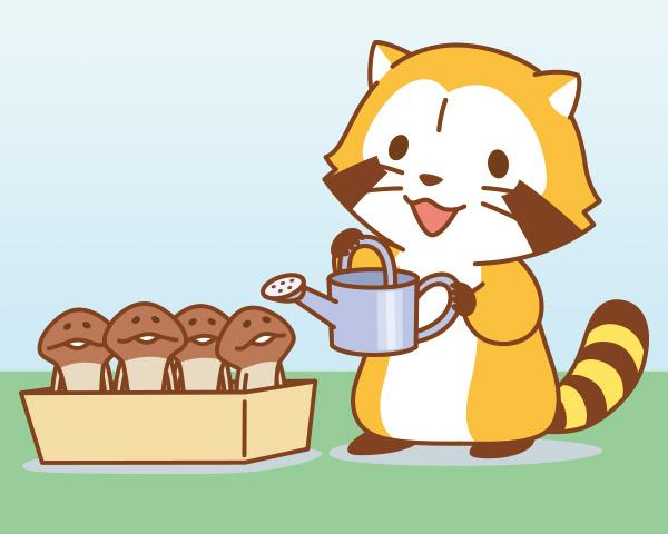 ラスカル 公式 Twitterren 最近リアルなめこ栽培にはまってるのミャ なめこが乾かないように気をつけないとミャ Http T Co Hzbnphxu8c