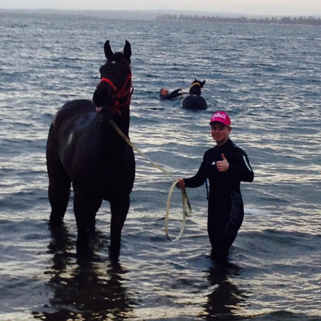 GaiWaterhouse1's tweet image. Braving the elements! ❄️🌊🐎