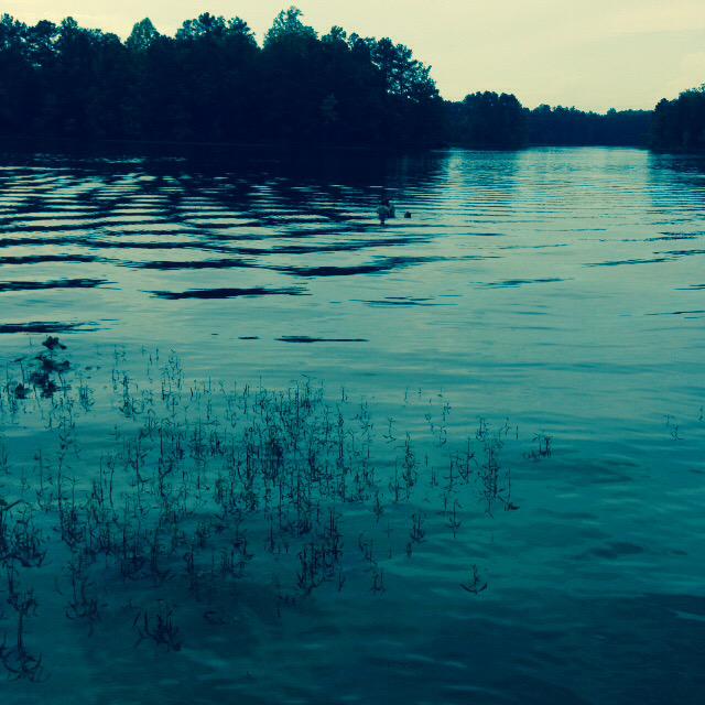 TestermanLinda's tweet photo. River was fun today 🐠🏊🏻🚣🏻 http://t.co/sLSkdPE8Ku