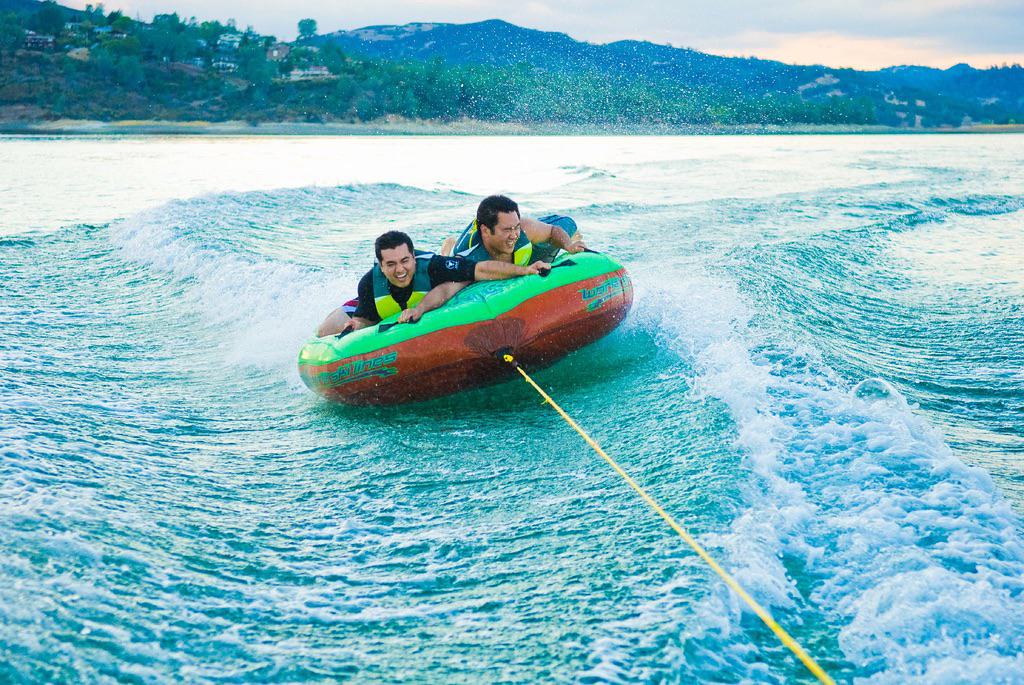 Activity Bus tweet media