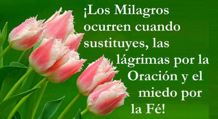 LizCR_NM_Vzla's tweet photo. ¿Sientes q todo está perdido y q no hay salida? No temas anímate levántate y ten un #EncuentroConDios @eleazarvarela http://t.co/1BkHp3Lp0h