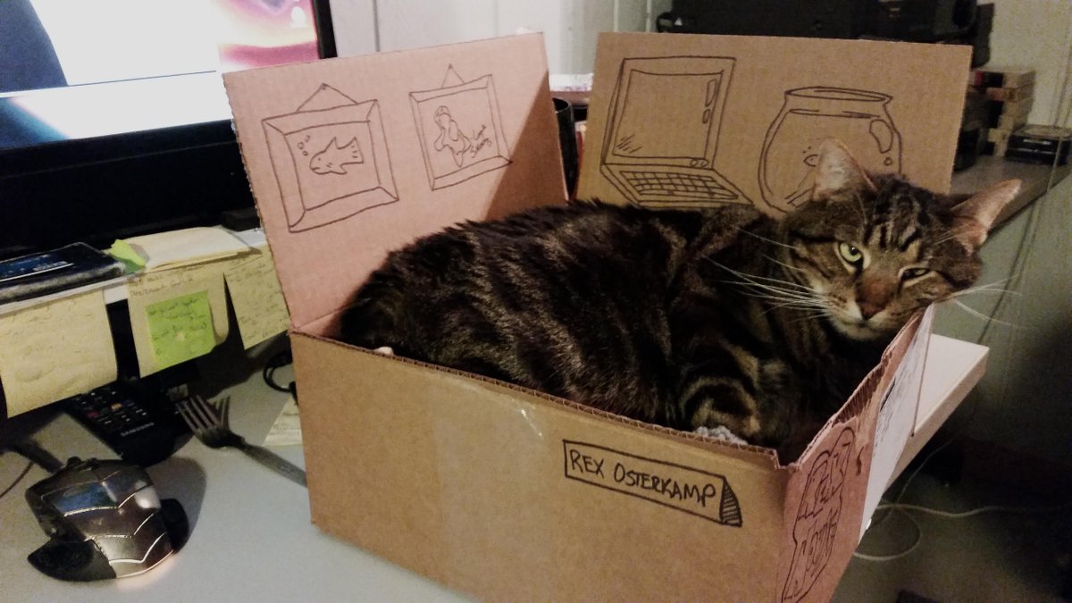 The office-manager-cat ^ ^