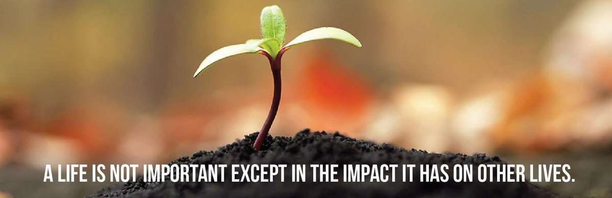 Have a nice monday all.