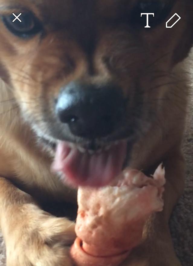 taichijensen's tweet photo. When someone says jensen is a bad actor http://t.co/sL19xfAzpo