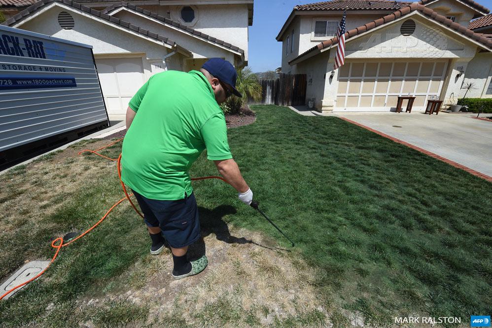 En Californie, l'arrosage est restreint à cause de la sécheresse. Mais qquns peignent... leur pelouse en vert ! #AFP