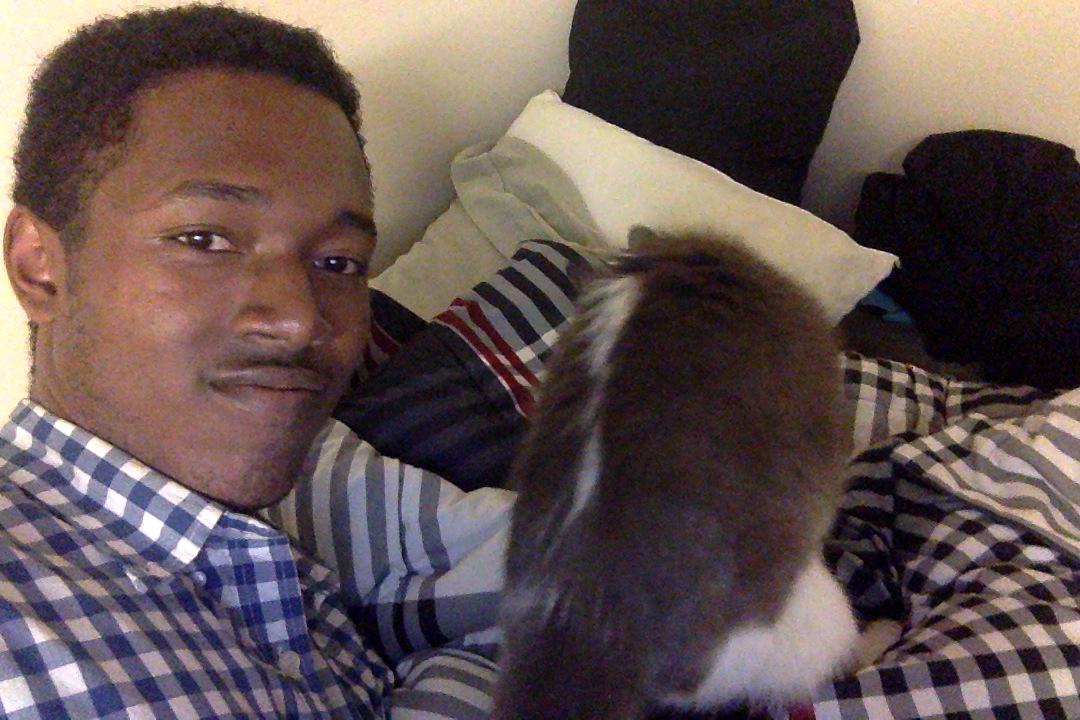 adamjwash's tweet photo. Hi @kamu_m and @drew_knife !!!! Cat says hi #StewCat http://t.co/6YkSQd2Wqt