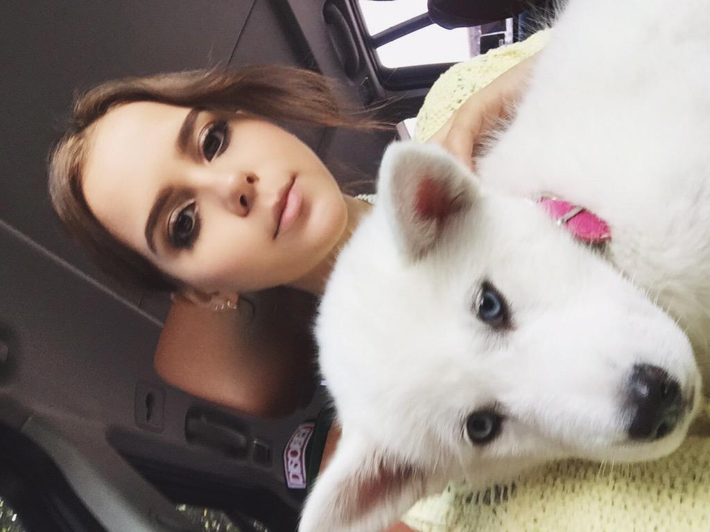 yuyacst's tweet photo. La más guapa 🐶. http://t.co/Yg8QoX5sTZ