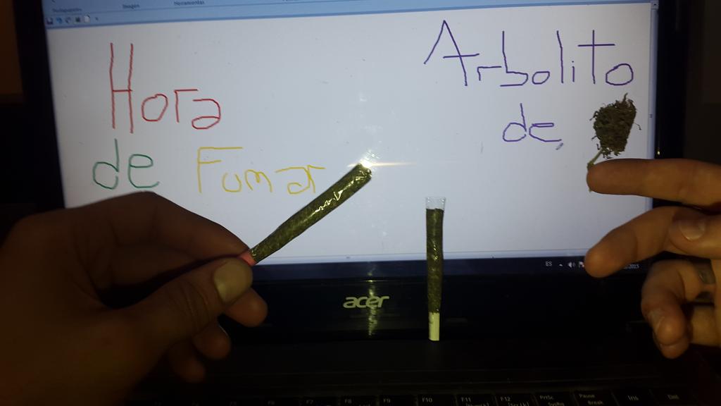 porfalopero's tweet photo. #horadefumar #ArbolitoDeFaso http://t.co/8cS2VhRaHG
