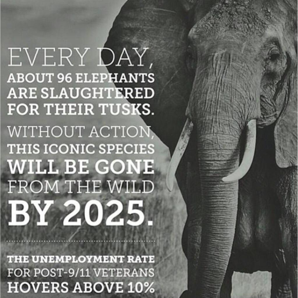 Time is not on their side....