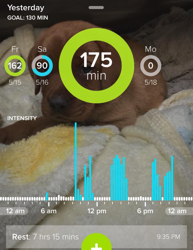 Check out the highlights of Prefontaine 's day with Whistle
#dogslovewhistle whi.st/s/0k297l