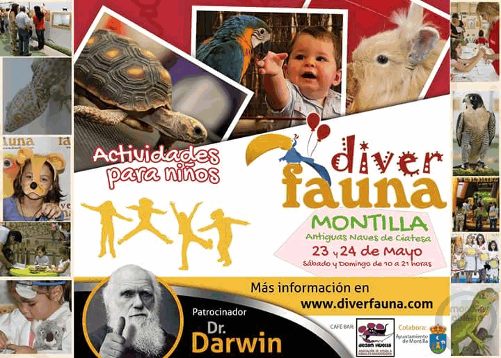 Vuelve Diverfauna a Montilla montillabierta.es/?p=10203