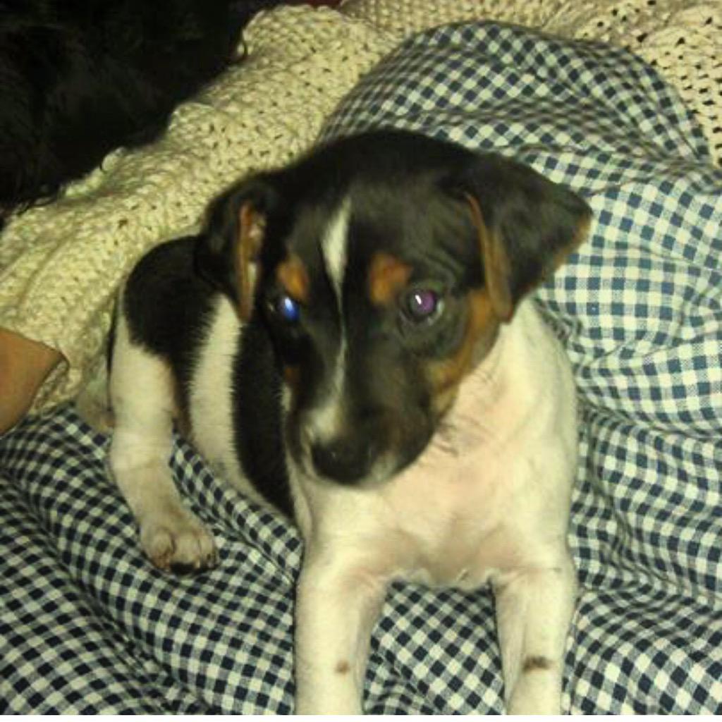 @HarrietDeverill butttttt