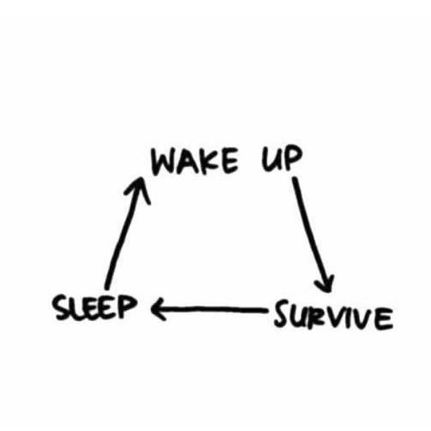 babbbbette's tweet photo. Mijn leven de komende 5 dagen #examens 😩😩 http://t.co/8HpWkvjbdA