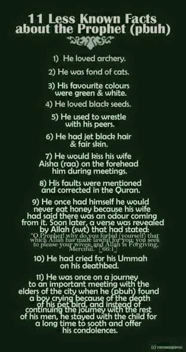 scrollmeby's tweet photo. #ThisIsMuhammad http://t.co/tjJTZhaaAH