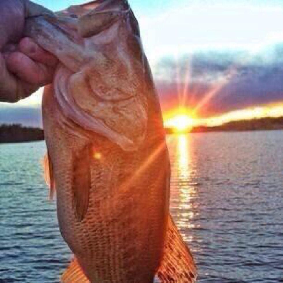 Males_Thoughts's tweet photo. RT if you're gonna fish all summer http://t.co/DutvUddIt8