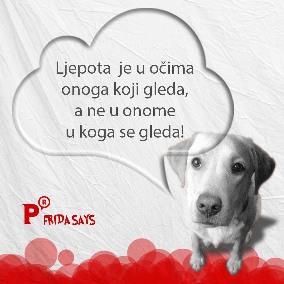 Ponedjeljkom smo romantični #pr #preclarus