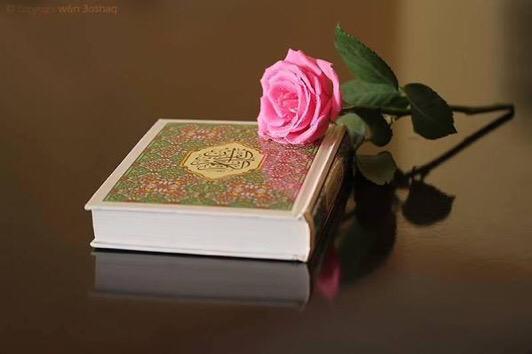marwa_7ayek's tweet photo. لا شيء كالقرآن ؛💖🍃ينبت في الروح فرحاً ؛وزهور أمل ؛وحياةُ أخرى جميلة http://t.co/lyL1QRtQ9y