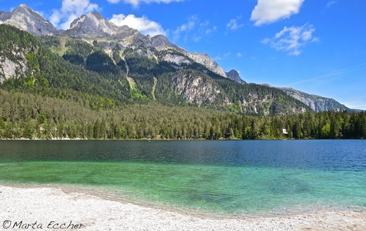 #PicOfTheDay
#LakeTovel - @VisitTrentino 
Special thanks to Marta Eccher
facebook.com/italia.it/phot… #IlikeItaly