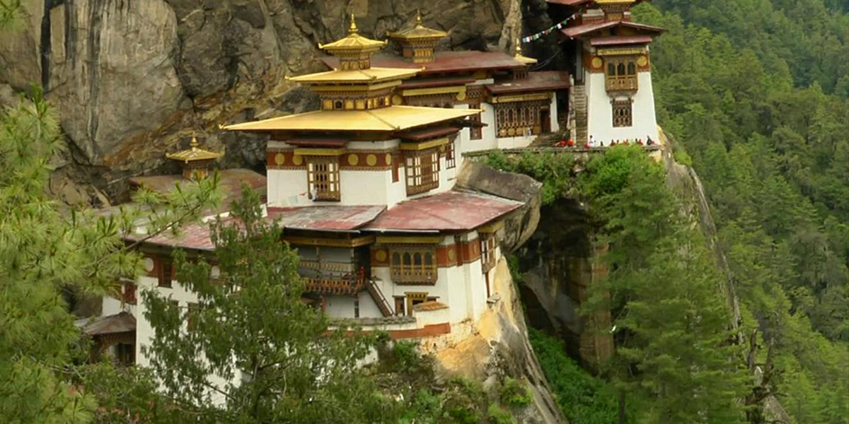 THEGARDENART tweet media