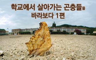[과학]학교에서 살아가는 곤충들을 바라보다 1편
ddanzi.com/ddanziNews/546…
학교에 사는 많은 곤충을 찍기 위해 카메라를 개조해보았습니다. 장장 2년동안의 곤충촬영 고생수기.