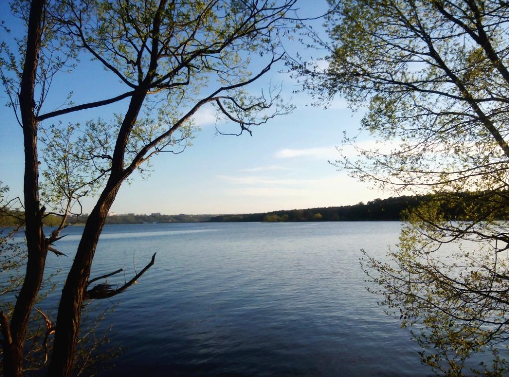PhotoKaluga tweet picture