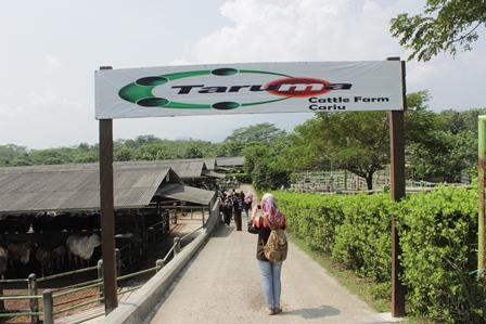 Gerbang masuk kandang peternakan