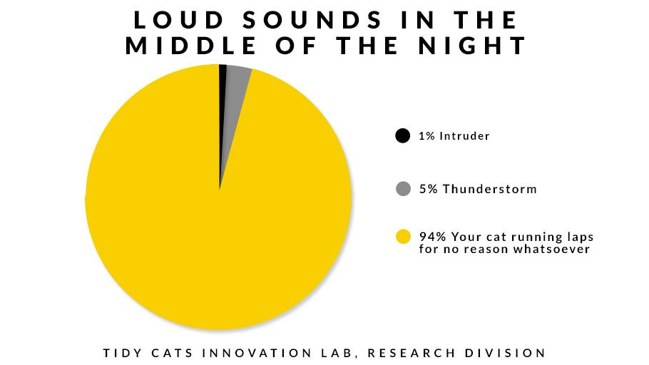 TidyCats's tweet image. Things that go bump in the night are usually cats. #TidyLab #Science