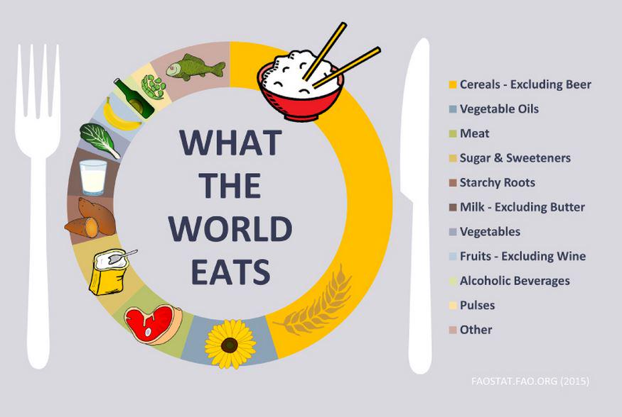WFP's tweet photo. What the world eats: #UNFAO infographic reveals plants provide > 80% of our energy intake http://t.co/T8o4X02Ejr http://t.co/WgoHt1BmMe