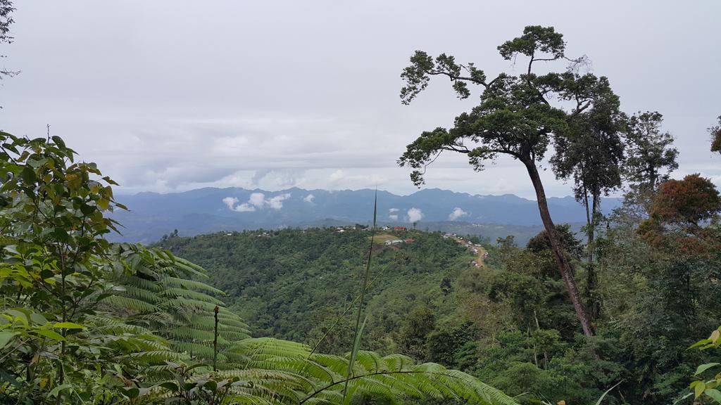 Desa Asri Tavanggaili di kec. Pinembani