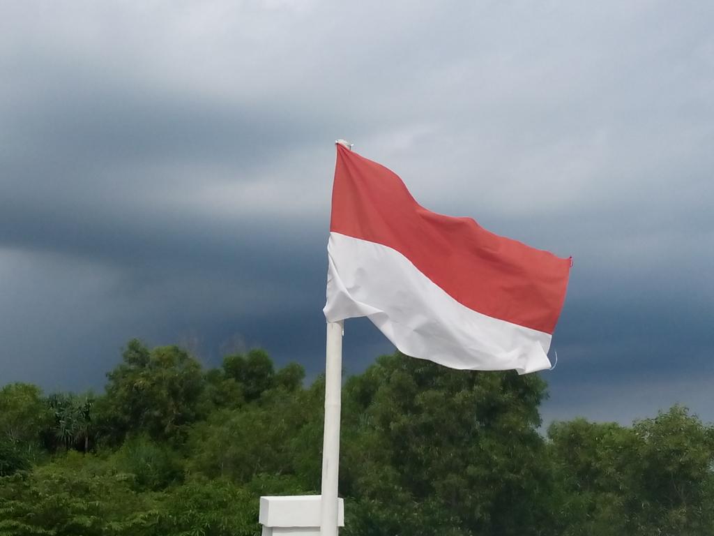 HanzAigner's tweet photo. @GNFI maaf min jelek fotonya, pake kamera hp soalnya http://t.co/mG9eFzWKg8