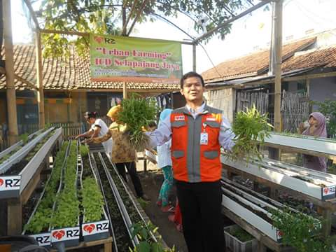 Toip_RZ's tweet photo. panen raya urban farming Al-Barokumulloh binaan @rumahzakat @RZTangerang @mandiribisa @MaskurM @warjita #GoGreen http://t.co/oWcvt1biwn