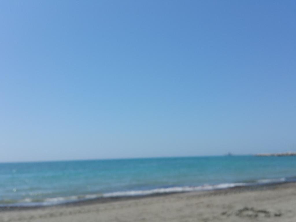 franturchi tweet picture
