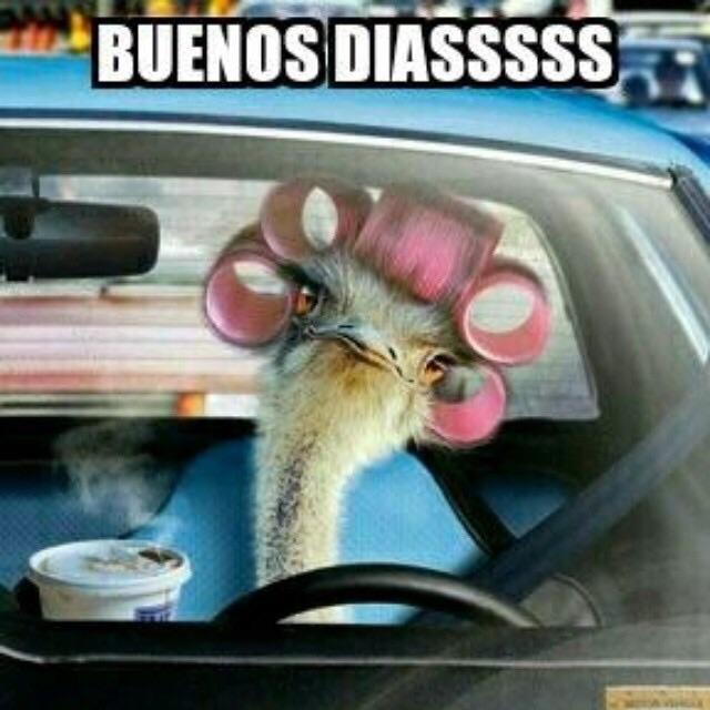 Sounds_Night's tweet photo. Feliz inicio de semana!! http://t.co/Op1ASkg3k2