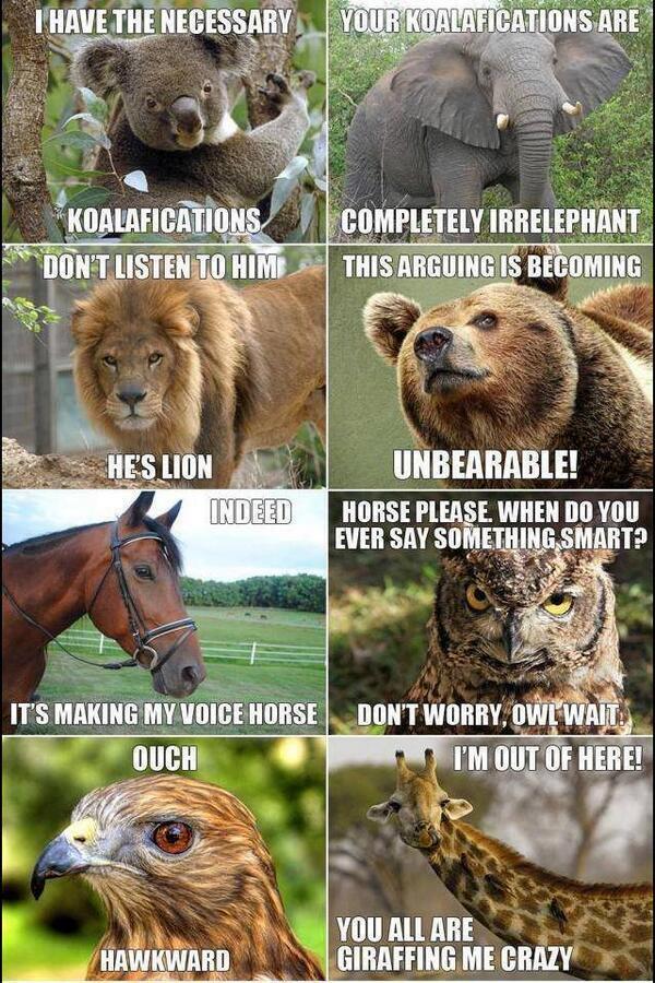 letquotescomedy's tweet photo. I'm Dying 😄😂😍 http://t.co/aWAXwS1gSH