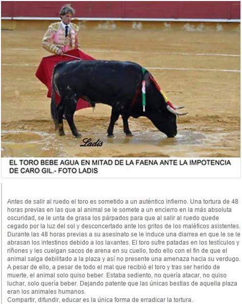 EstherParras's tweet photo. Asesinos 😡 http://t.co/7efaCNi2ym