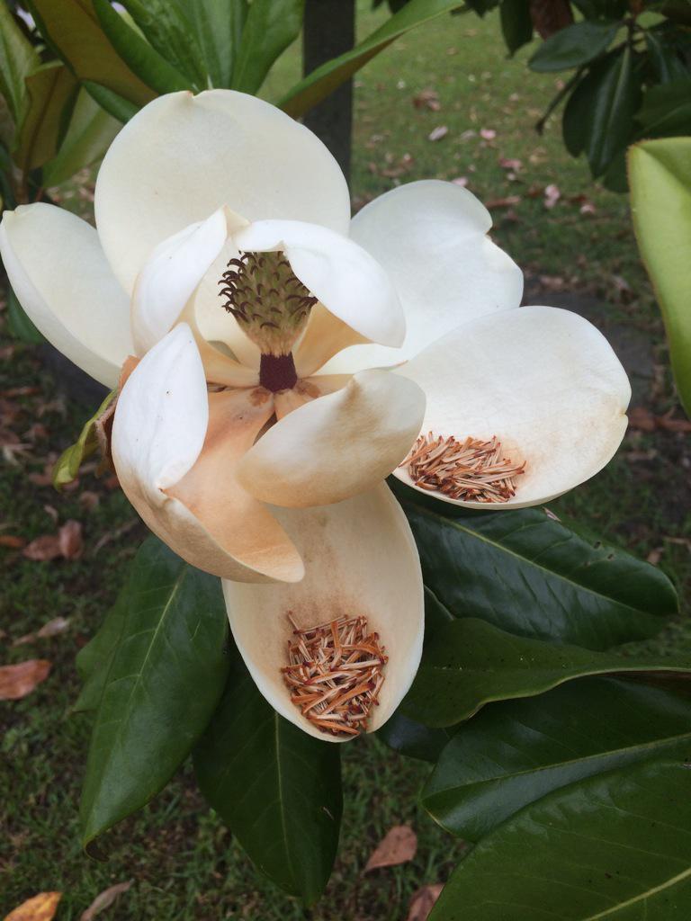 lakeofshinyw's tweet image. how do you hold