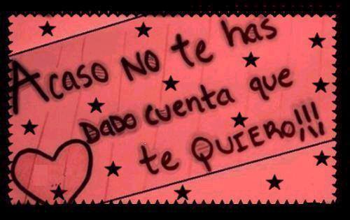 vivo mi vida loca no me importa a kien no le juste solo se qk me tiene qk gustar ami '''''' tu comentario no importa.