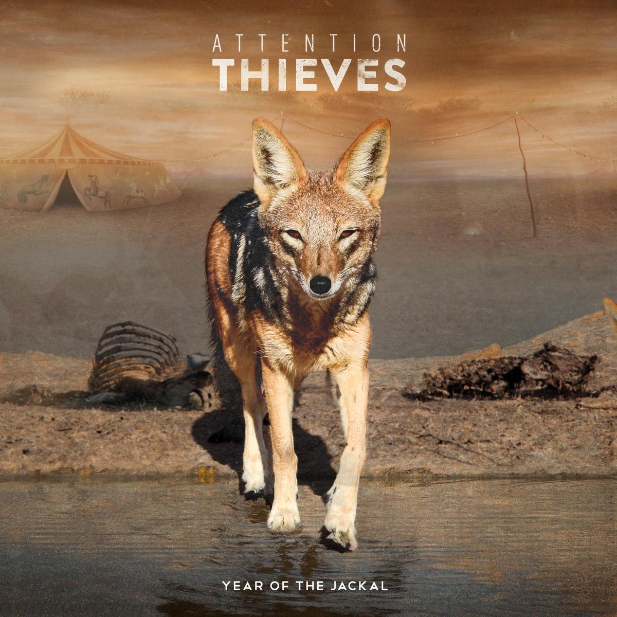 atbanduk's tweet photo. It's here! >> http://t.co/4ZNFZgIFsf #ThievesAreBack #YearOfTheJackal http://t.co/dxtuzNjdvC