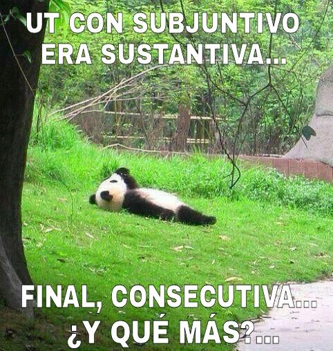 IuniusCaesar's tweet photo. Repasando en tu cama al despertarte el día del examen de Latín tal que así: http://t.co/QwpytzDd3P