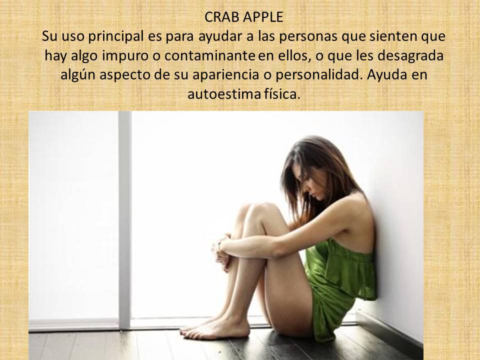 terapiaysonrisa's tweet image. Crab Apple: Se sienten sucios por dentro o no les gusta su apariencia.
Desarrolla: Limpieza  y autoestima Física.